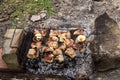 Pork meat roasting on grill. Meat on the coals, barbeque close up Royalty Free Stock Photo