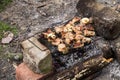 Pork meat roasting on the grill Royalty Free Stock Photo