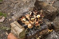 Pork meat roasting on the grill Royalty Free Stock Photo