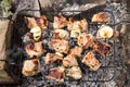 Pork meat roasting on the grill. Royalty Free Stock Photo