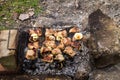 Pork meat roasting on the grill Royalty Free Stock Photo