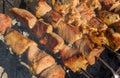 Pork meat on skewers cooking outdoor on smouldering carbons Royalty Free Stock Photo