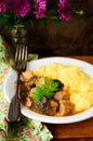 Pork and Mushroom Stew with Polenta, vintage effect, copy space