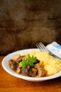 Pork and Mushroom Stew with Polenta, vintage effect, copy space for your text Royalty Free Stock Photo