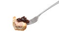 Pork pie and pickle Royalty Free Stock Photo