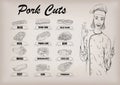 Pork pig carcass cut parts info graphics scheme sign poster butchers guide back, neck, shoulder; woman butcher cook worker smile