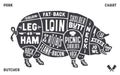 Pork, pig. Scheme, diagram, chart pork, butcher guide