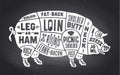 Pork, pig. Scheme, diagram, chart pork, butcher guide