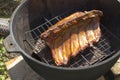 Pork ribs fried on a grill