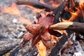 Pork sausage roasted over the cam fire