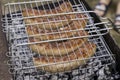 Pork sausages fried on coals on the grill Royalty Free Stock Photo