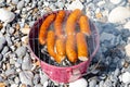 Pork sausages on portable bucket grill on stone beach Royalty Free Stock Photo