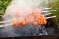 Pork sausages in the smoke prepare for grill, B-B-Q food sentenced in the fresh air Royalty Free Stock Photo