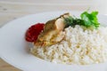 Pork shaslyk with rice and tomato sauce Royalty Free Stock Photo