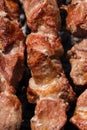 Pork shish kebabs cooking on skewers on charcoal grill with fragrant smoke Royalty Free Stock Photo