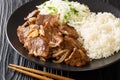 Pork Shogayaki is a dish in Japanese cuisine with rice and cabbage salad closeup in the plate. horizontal Royalty Free Stock Photo