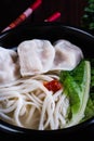 Pork, shrimp, chicken or vegetable dumpling rice noodle soup