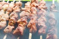 Pork skewered on a skewer, roasted over burning coals. Smoke from smoldering wood rises above the kebab Royalty Free Stock Photo