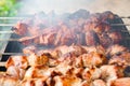 Pork skewered on a skewer, roasted over burning coals. Smoke from smoldering wood rises above the kebab Royalty Free Stock Photo