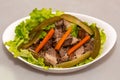 Pork steak meat with pickled carrots and cucumbers Royalty Free Stock Photo