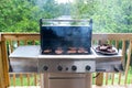 Pork steaks on gas grill Royalty Free Stock Photo