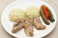 Pork tenderlion with rice Royalty Free Stock Photo