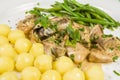 Pork tenderloin with potatoes and wild mushroom sauce and green beans on white plate Royalty Free Stock Photo