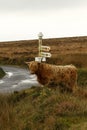 Porlock Post Exmoor