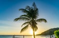 PoroMari palm tree Sunset Beach Curacao views