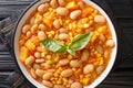 Porotos granados is a traditional Chilean countryside stew made mainly of beans, maize kernels and squash close up in the bowl. Royalty Free Stock Photo