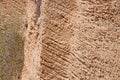 Porous banded limestone rock closeup