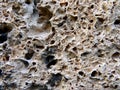 Porous natural rock