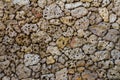 Porous pumice stones wall Royalty Free Stock Photo