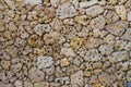 Porous pumice stones wall