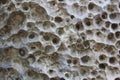 Porous rock texture