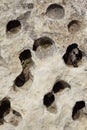 Porous rock