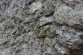 Porous stone wall close up Royalty Free Stock Photo