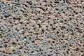 Porous volcanic rock wall. Royalty Free Stock Photo