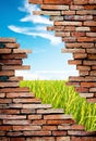 Porous wall to see rice field and blue sky Royalty Free Stock Photo