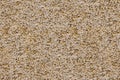 Porouse scrub texture seamless background, foam stone limestone