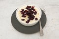 Porridge with cranberries in the white bowl Royalty Free Stock Photo