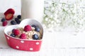Porridge oatmeal with fruits in heart valentines food love concept
