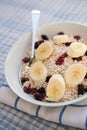 Porridge oats, cranberries & sliced banana Royalty Free Stock Photo