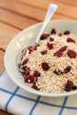 Porridge oats & dried cranberries Royalty Free Stock Photo