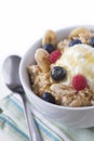 Porridge oats & fruit Royalty Free Stock Photo