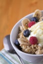 Porridge oats & fruit Royalty Free Stock Photo