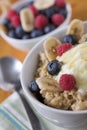 Porridge oats & fruit Royalty Free Stock Photo