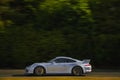 Porsche GT3 in Motion