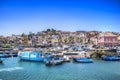 Port of Aci trezza Royalty Free Stock Photo
