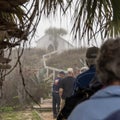 PORT ARANSAS, TX - 21 FEB 2020: Chapel on the Dunes tour on a foggy day